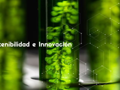 Sostenibilidad e Innovación